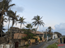 Власти Шри-Ланки намерены сделать бесплатными визы для туристов